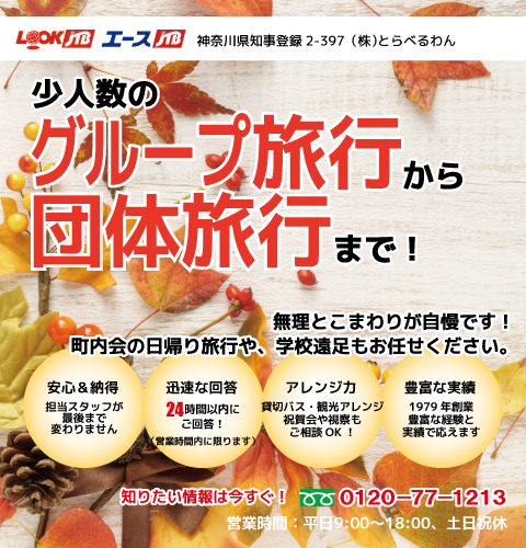 少人数のグループ旅行から団体旅行まで！1979年創業の確かな手配力でオリジナルなわがまま宴会旅行を組み立てます。