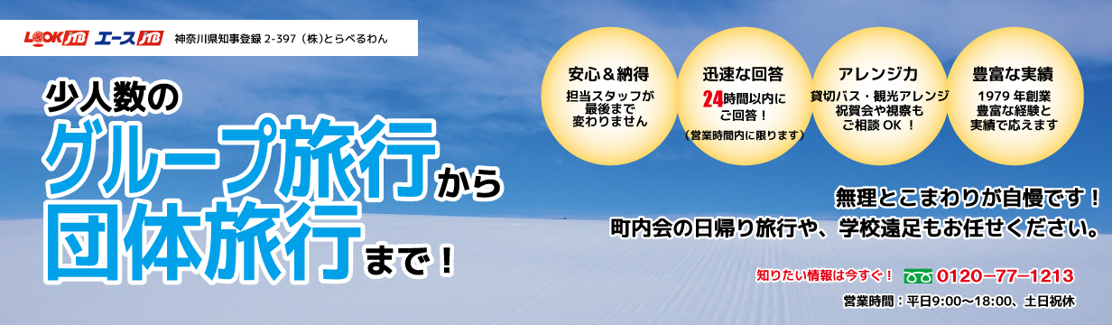 少人数のグループ旅行から団体旅行まで！1979年創業の確かな手配力でオリジナルなわがまま宴会旅行を組み立てます。