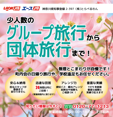 少人数のグループ旅行から団体旅行まで！1979年創業の確かな手配力でオリジナルなわがまま宴会旅行を組み立てます。