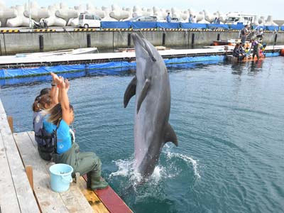 堂ヶ島温泉ホテル-観光スポット