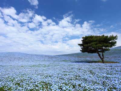 茨城海浜パーク