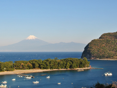 駿河湾