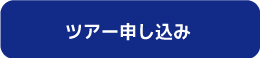 ACMEファン旅行「GoToオキナワ」お申し込みフォームへ