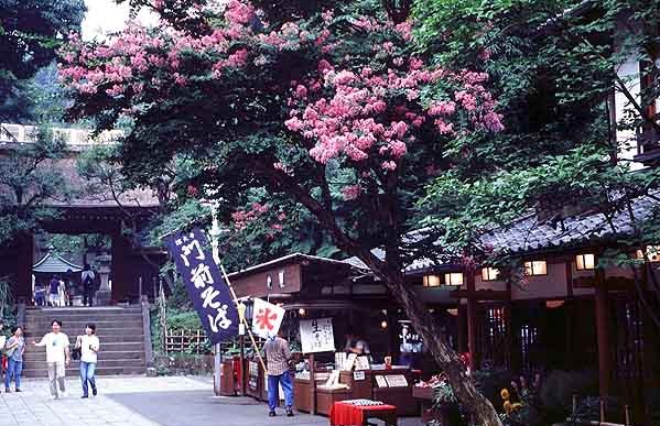 歴史：中央道1
